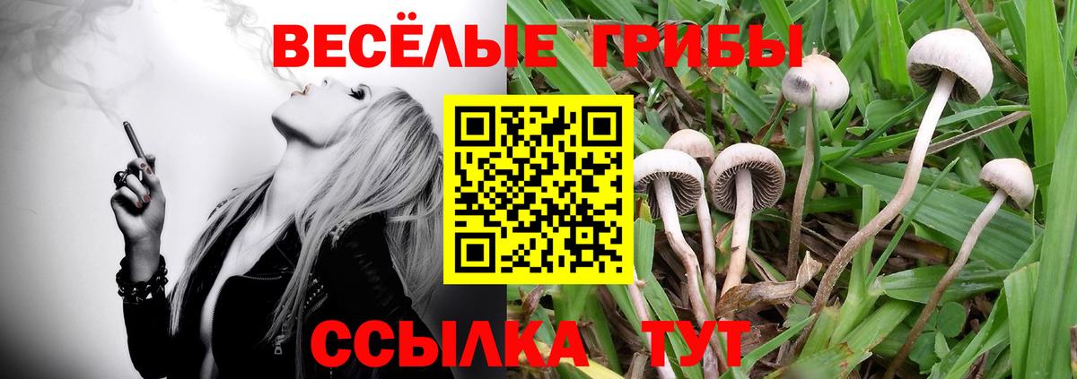 Псилоцибиновые грибы Psilocybine cubensis  Псилоцибиновые грибы Psilocybe  Соликамск  Вход с VPN 